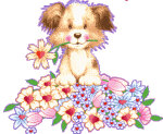 hunde131.gif